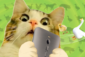 FRIDAY专栏 | 被憋疯的职场人，养起了猪牛羊鱼鸟...